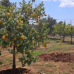 - Monemvasia Municipality *