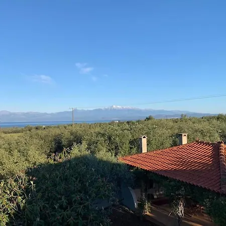 - Monemvasia Municipality Eliá Lakoníasz