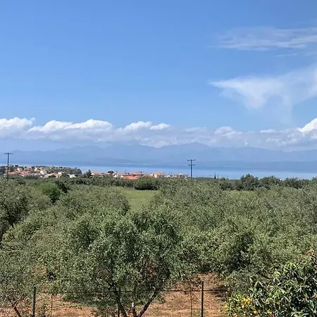 - Monemvasia Municipality * Ελιά Λακωνίας