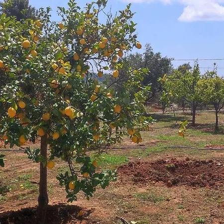 - Monemvasia Municipality *