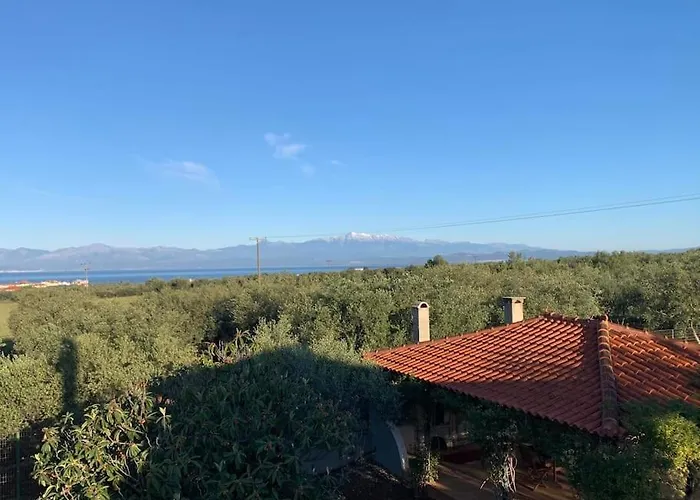 - Monemvasia Municipality Elia (Laconia)