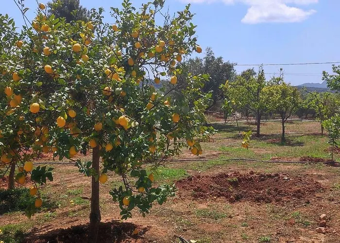 - Monemvasia Municipality *